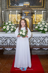 IMG_7063.jpg